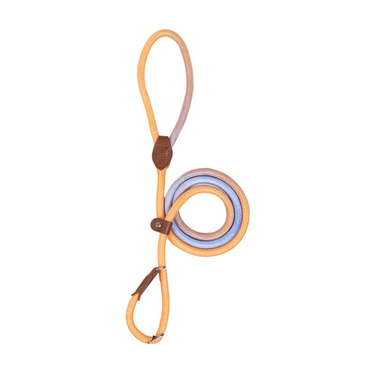Colorful Durable Bold Nylon Pet Hand Holding Rope