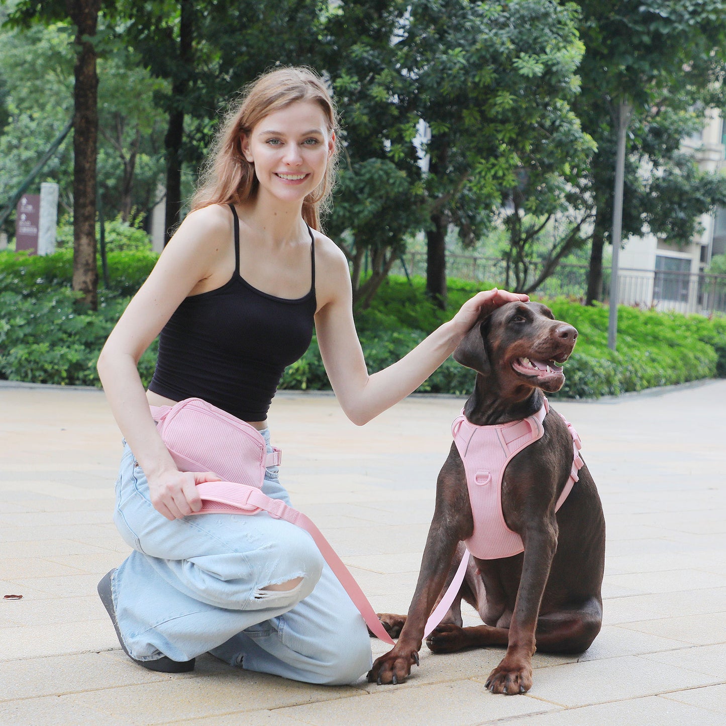Design Pink Corduroy Pet's Chest-back Can Carve Writing Collar Rope Dog Walking Bag