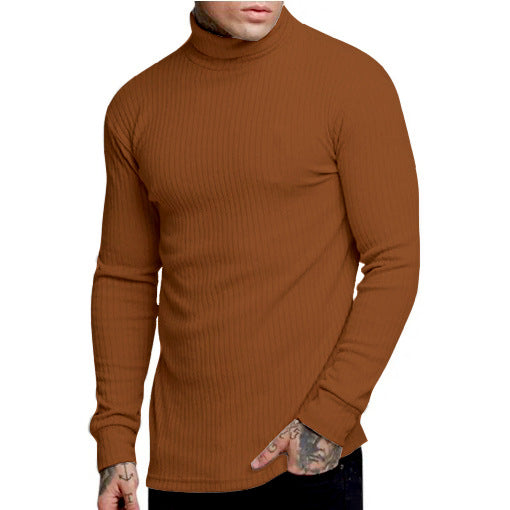 New Casual Men's Fashionable Solid Color High Neck Fried Dough Twist Stripe Knitwear