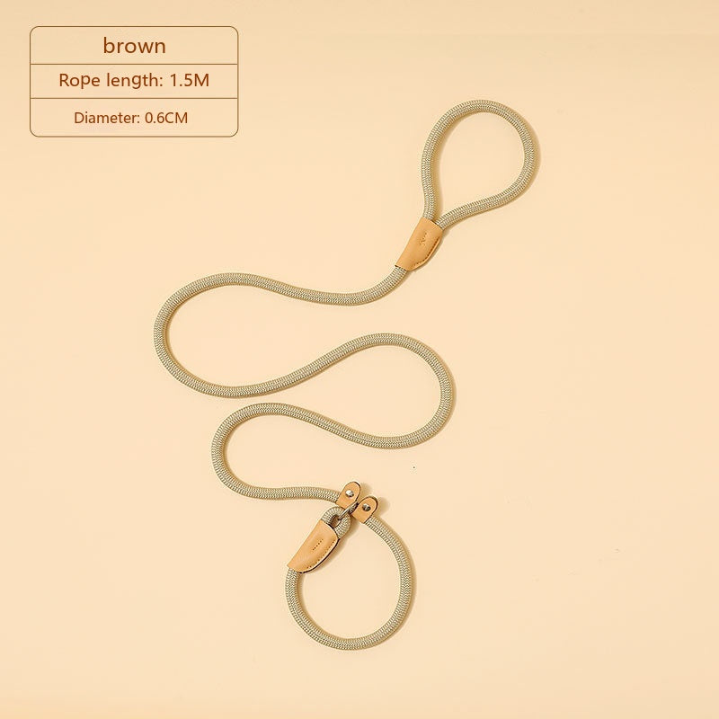 Household Dog Pet Hand Holding Rope