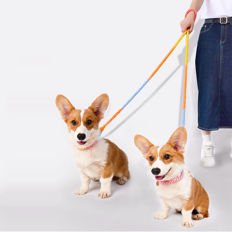 Multifunktionel Dobbelt Hunde Line