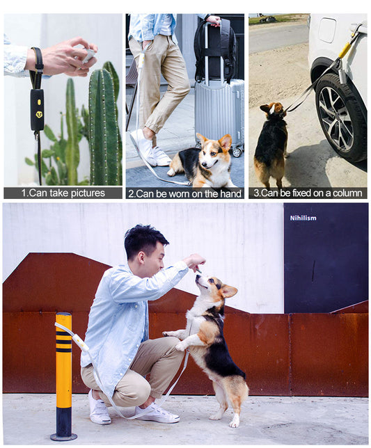 Nylon Small And Medium Pet Dog Elastic Leash