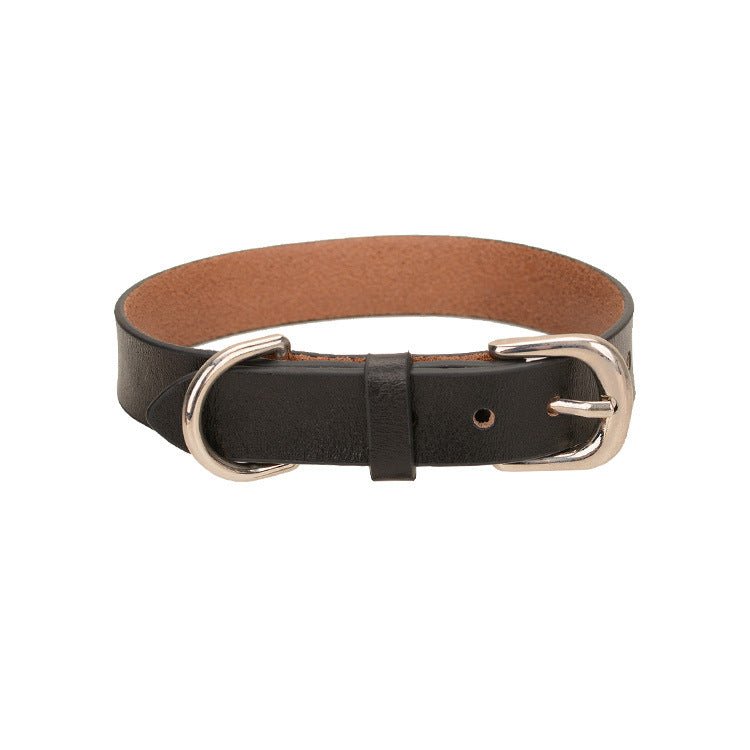 Multi-color Comfortable And Continuous Pet Dog Collar Traction Rope