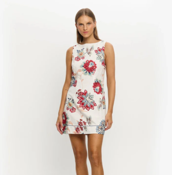 European And American Printing Dress Women