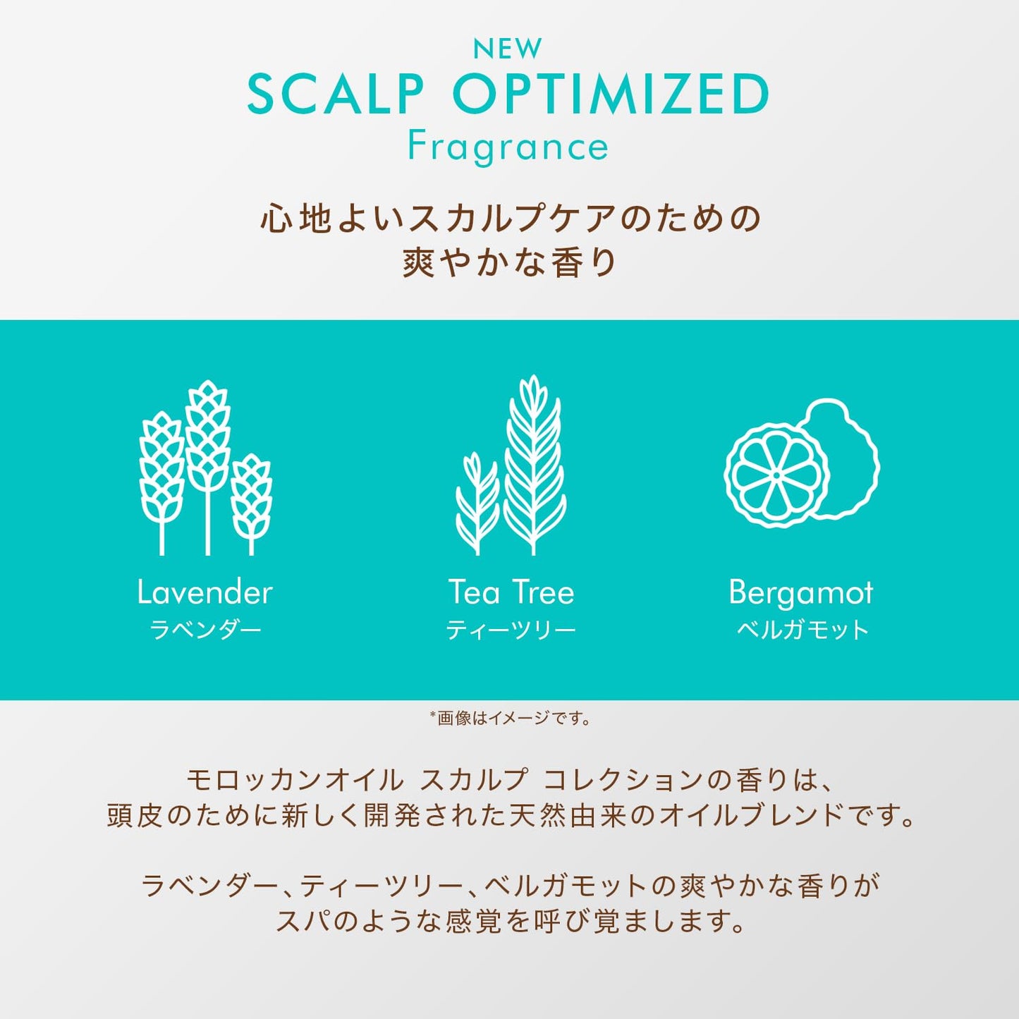 Moroccanoil renande peeling