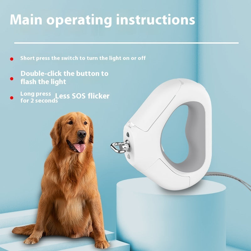 Spotlight Light With Snack Bin Box Pet Leashing Device