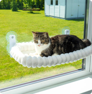 Cat Hammock Pet Cat Nest Balcony Glass
