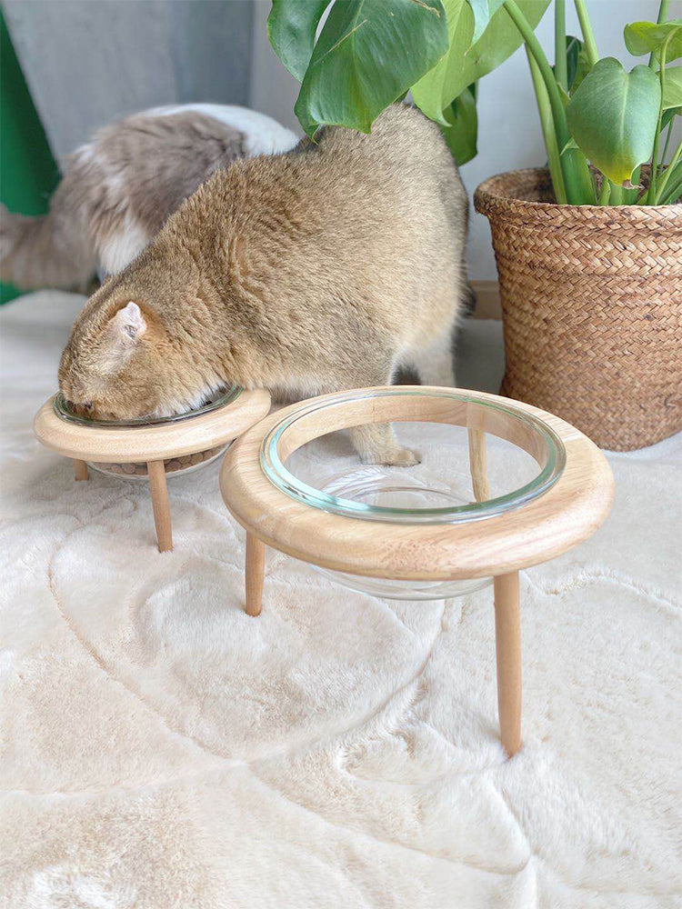 Cat bowl pet bowl