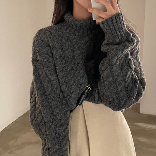 Autumn And Winter Turtleneck Extra Thick Warm Pullover Sweater Retro Twist
