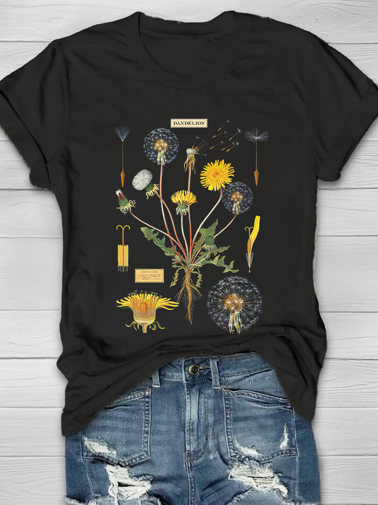 Round Neck White Loose Pullover Chic Dragonfly Short Sleeve