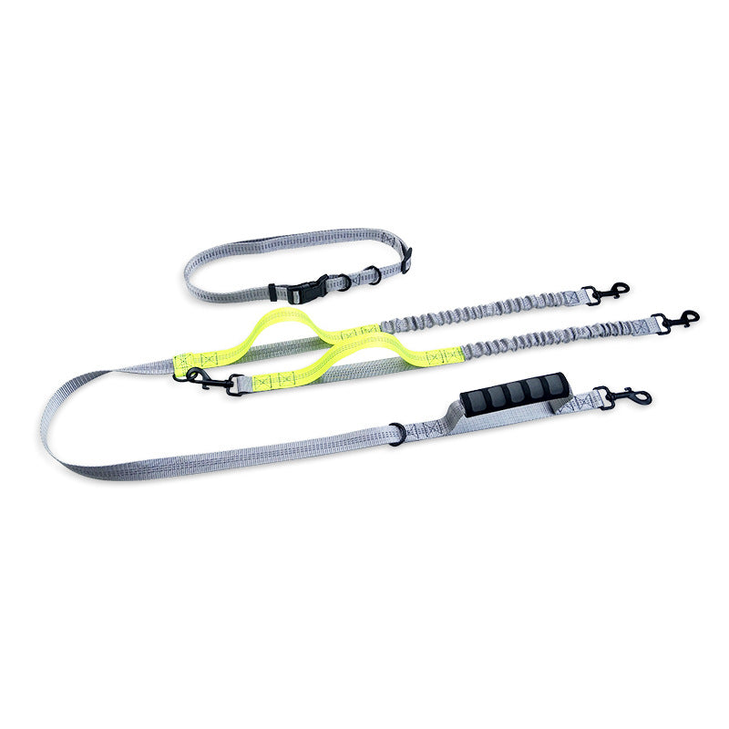 Reflective pull dog leash