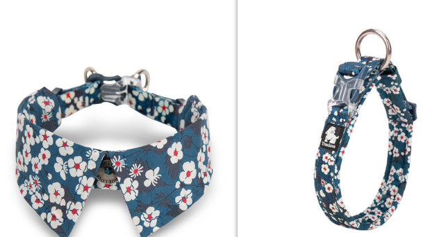 Hundehalsbånd med Flot Personlighed og Butterfly