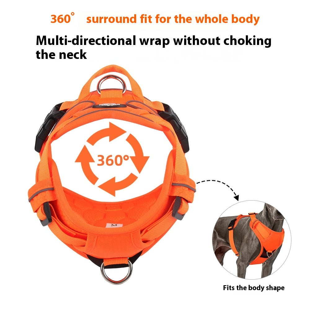 Dog Hand Holding Rope Vest Reflective