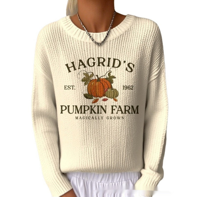 Dame Sweater Med Rund Hals Afslappet Pendler Sweater