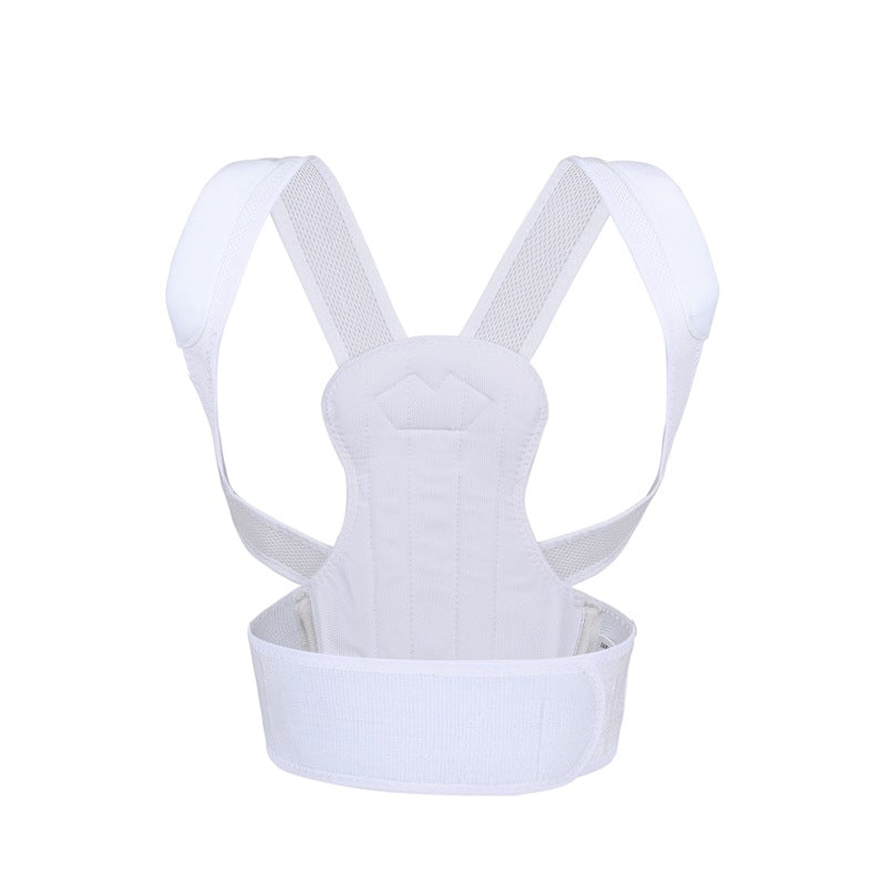 spine correction posture correction belt  Adult