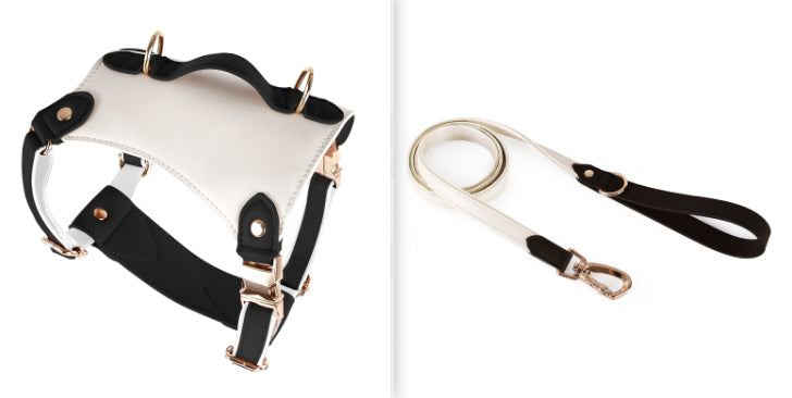 Leather Pet Vest Type Lead Rope Chest Strap
