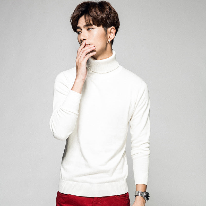 Ensfarvet Langærmet Turtleneck Pullover Mænds Basistrøje