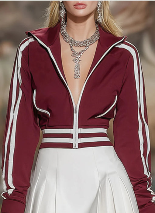 Stand Up Collar Zip Up Color Blocked Sweatshirt And Skirt Set
