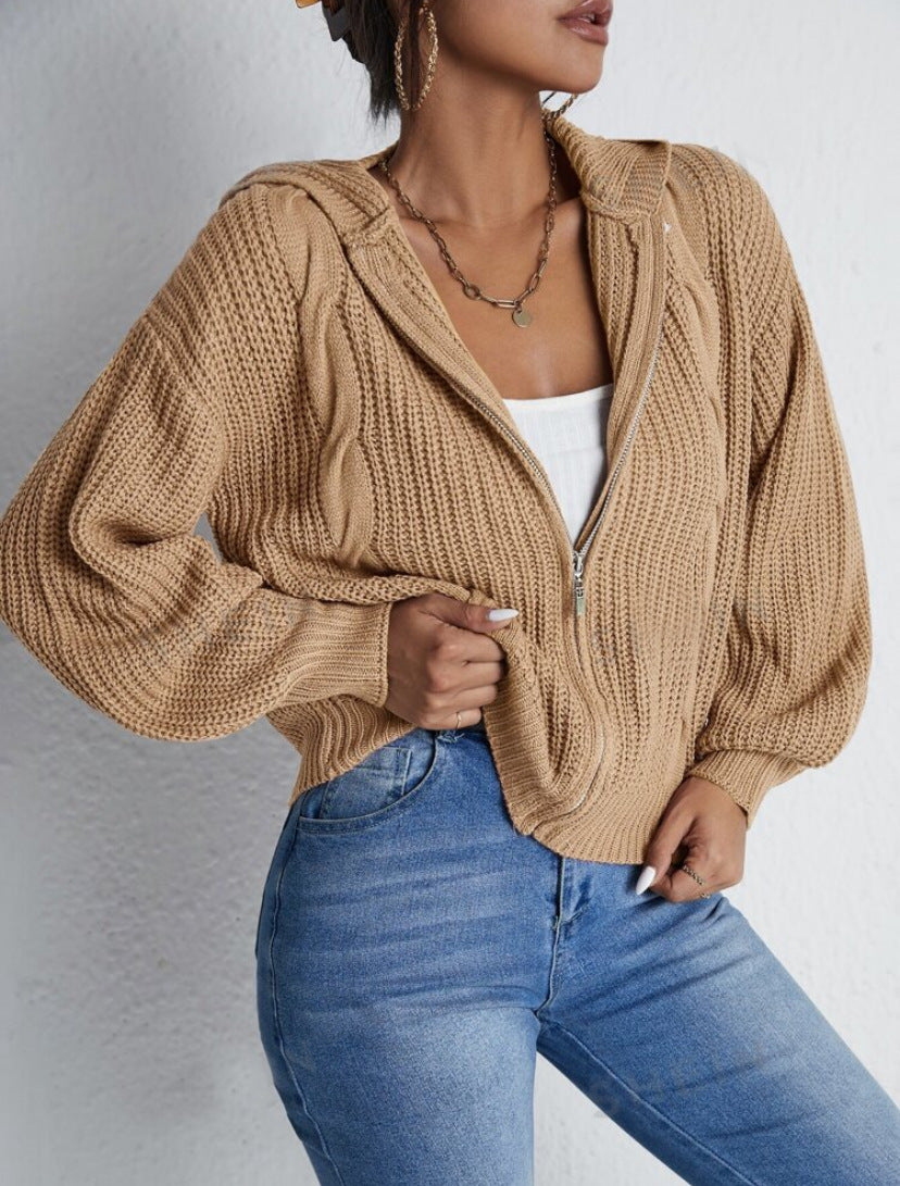 Autumn And Winter Hooded Cardigan Knitted Waffle Sweater Top