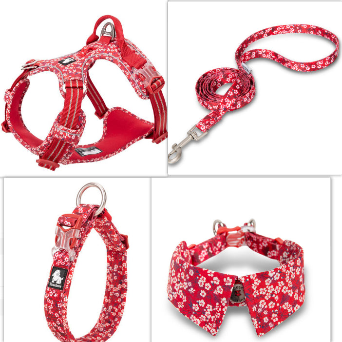 Hundehalsbånd med Flot Personlighed og Butterfly