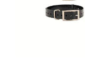 Pet Cat Dog Night Reflective Collar