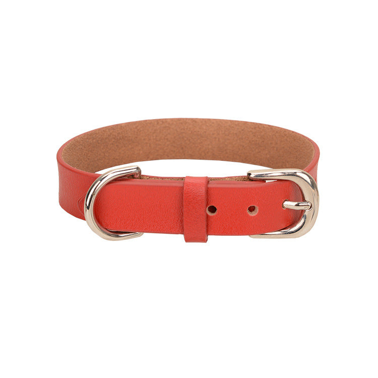 Multi-color Comfortable And Continuous Pet Dog Collar Traction Rope