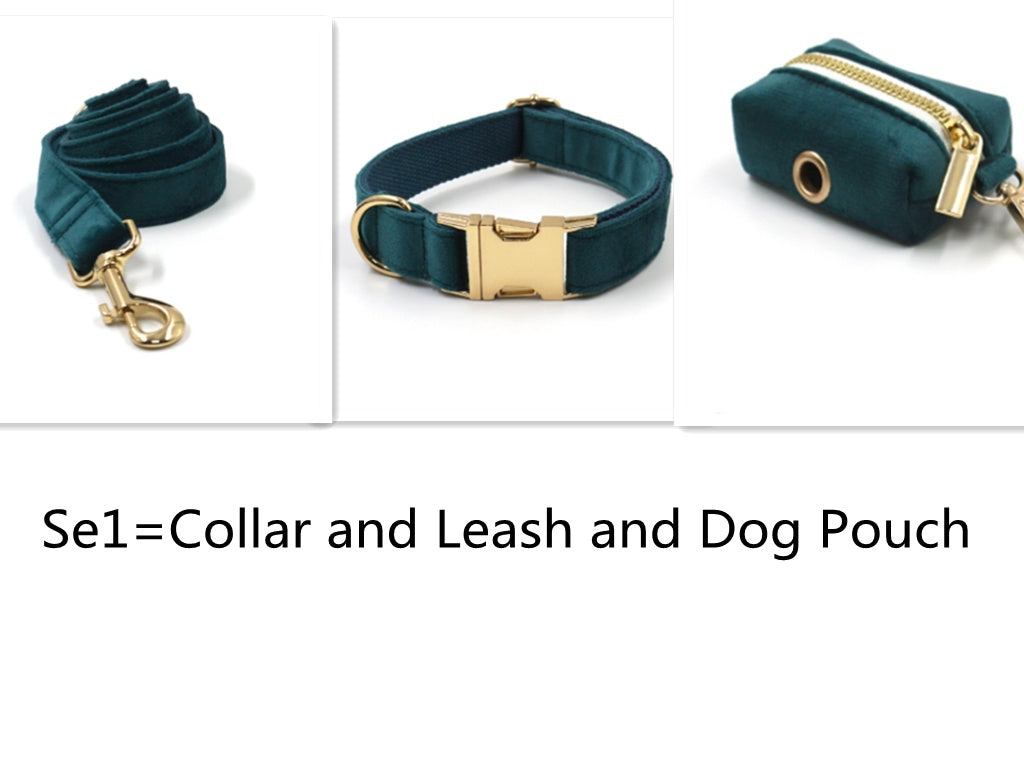 Safirgrøn fløjl guldspænde hardware hundehalsbånd line