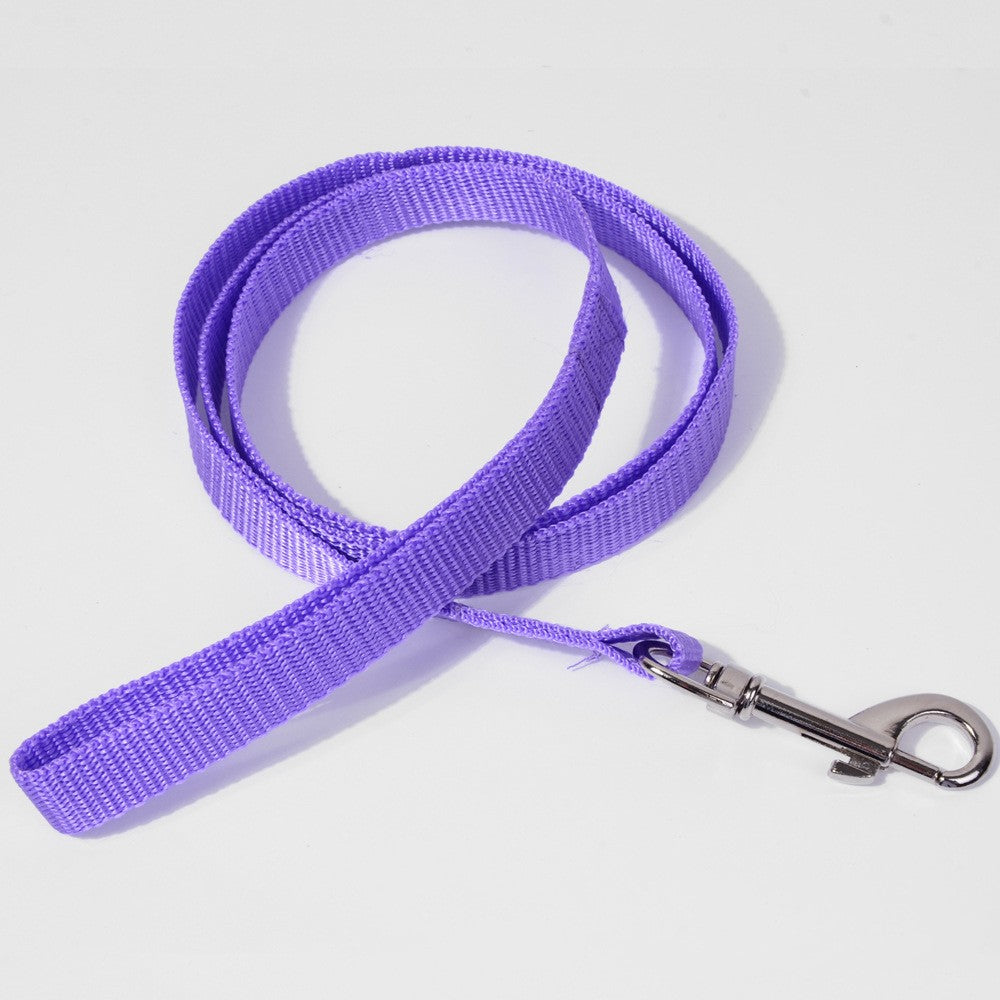 Pet Dog Hand Holding Rope Multicolor Colorful