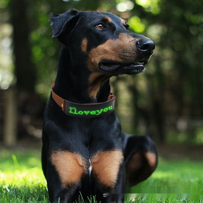 LED Display Collar Dog Harness