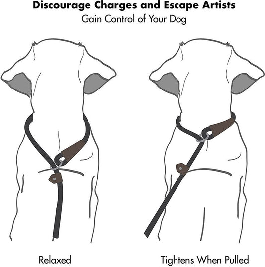 Dog Nylon Tow Rope Pull-resistant P Chain Round Rope Walking Single Dog Leash Dog Chain