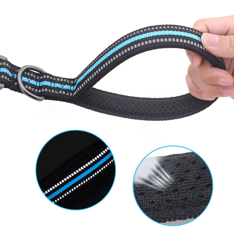 Big Dog Short Traction Rope Step Training