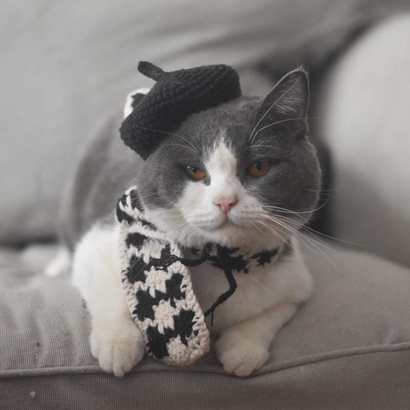 Small Hat Beret Knitting Plaid Small Scarf Dog