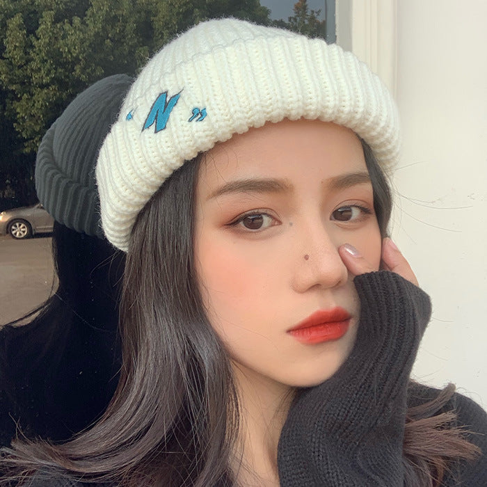 Autumn And Winter Black Melon Fur Wool Hat Men