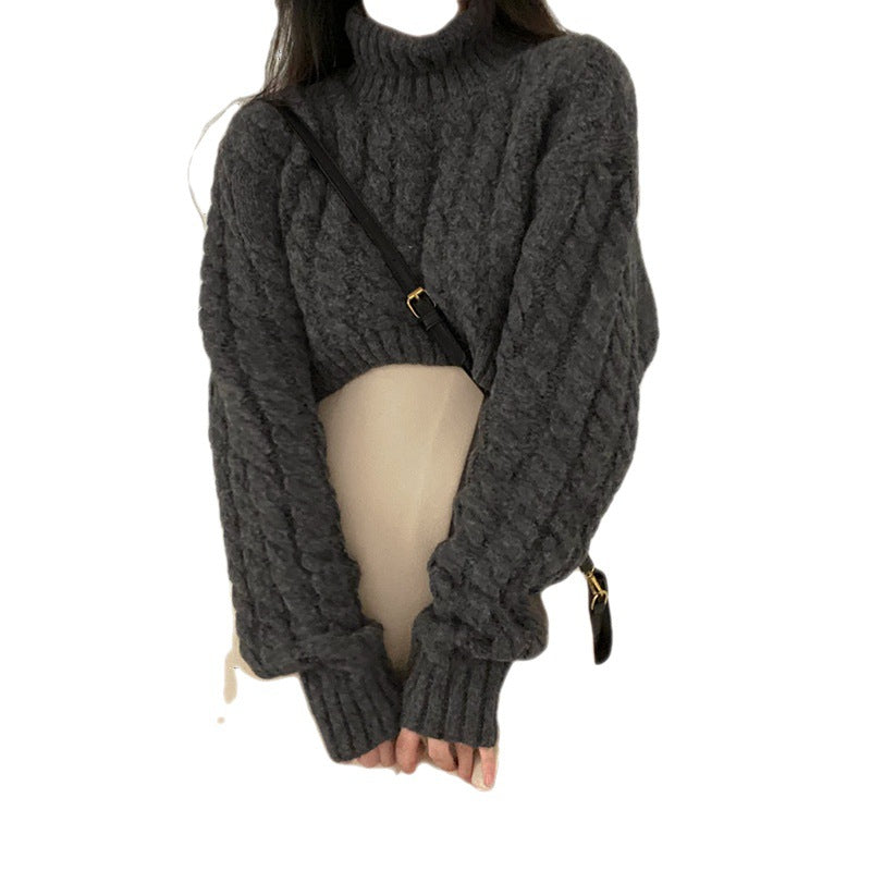 Autumn And Winter Turtleneck Extra Thick Warm Pullover Sweater Retro Twist