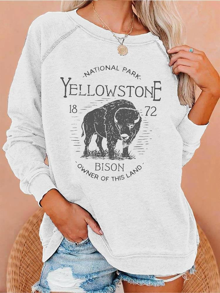 New European And American Personalized Elements Women's Sweater