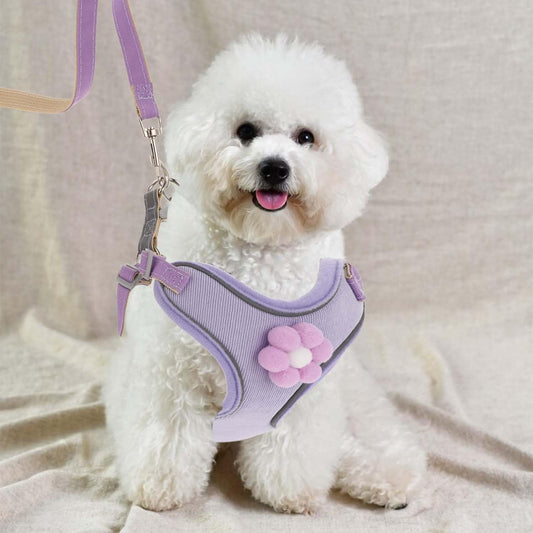 Breathable Mesh Puppy Vest Harness With Quick Release Buckle For Small Medium Large Dogs