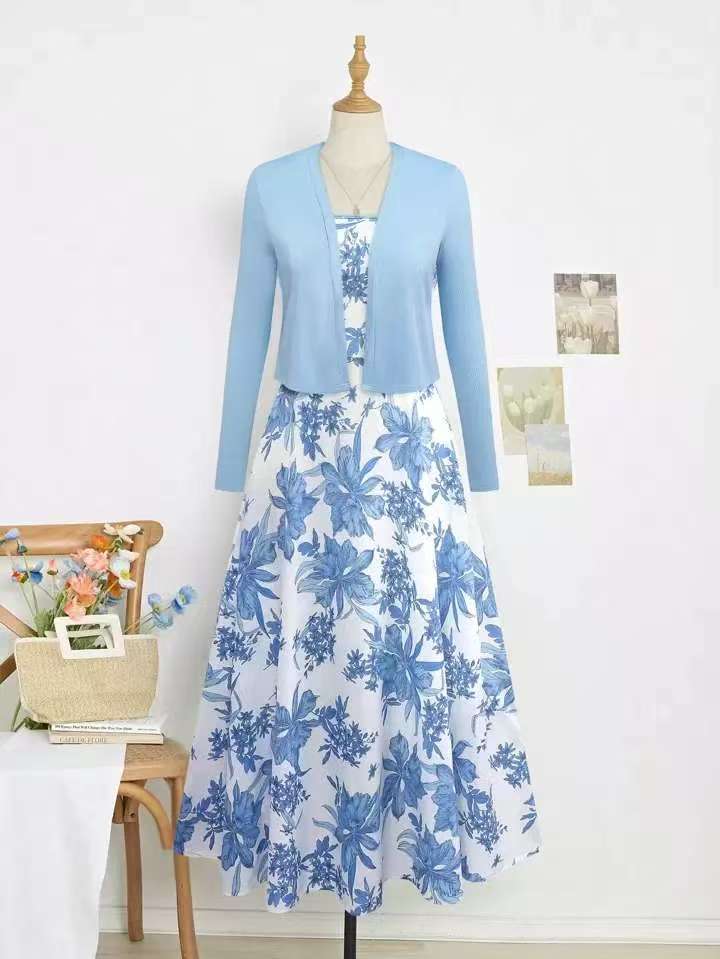 Elegant Two-piece Dress Set For Women