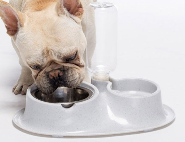 Stainless Automatic Drinking Bowl
