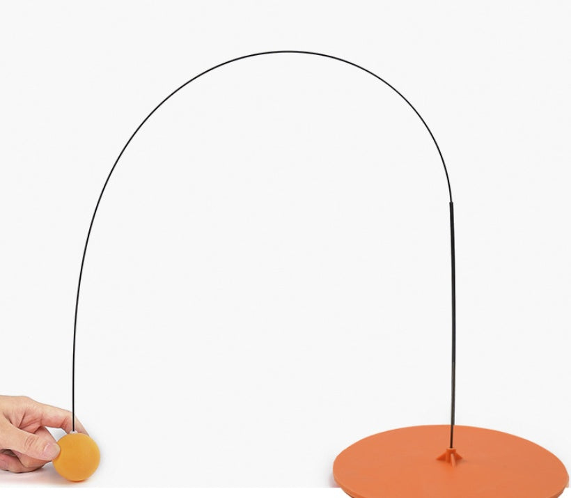 Portable Table Tennis Training Tool