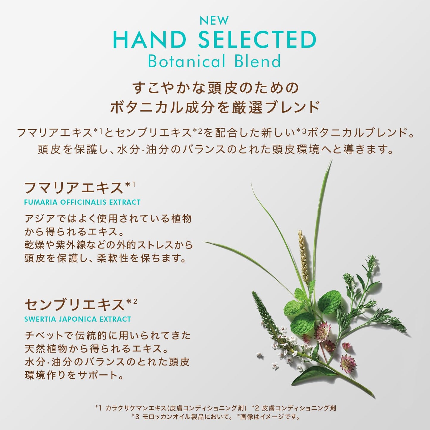 Moroccanoil renande peeling