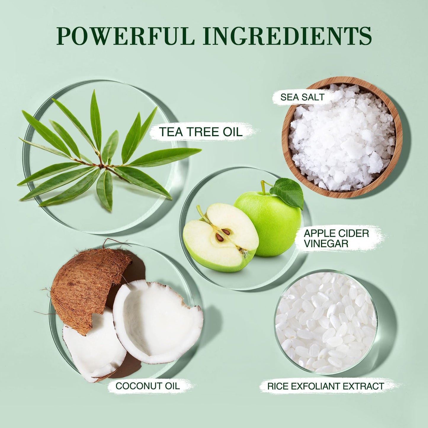 Tea Tree Hair Leather Scrub, mint hårskinnsskrubb, hårskinnsrengöring, tea tree schampo, håravfall, huvudmassör, mors festgåva