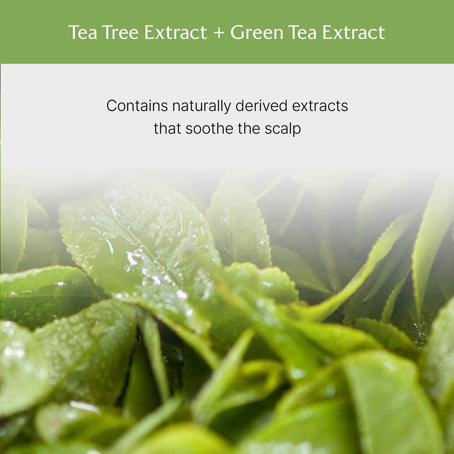 LA'DOR Tea Tree Scalp Clinic Hair Pack 200 ml – kylande uppfriskande hårbottenhår tea tree snigelslime grönt te extrakt hårbottenbehandling lindrar torr hårbotten böjer mjäll
