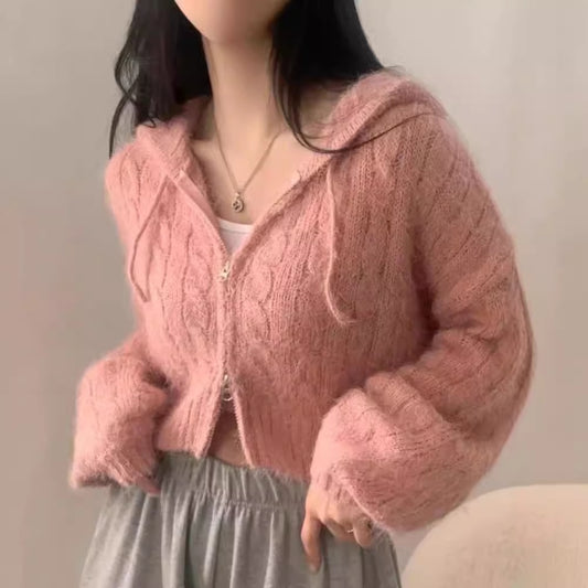 Soft Glutinous Niche Zipper Hooded Thickened Sweater