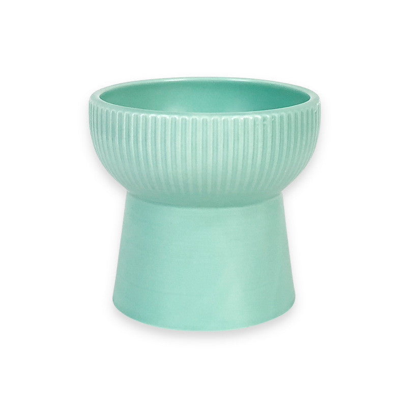 Household pet ceramic bowl