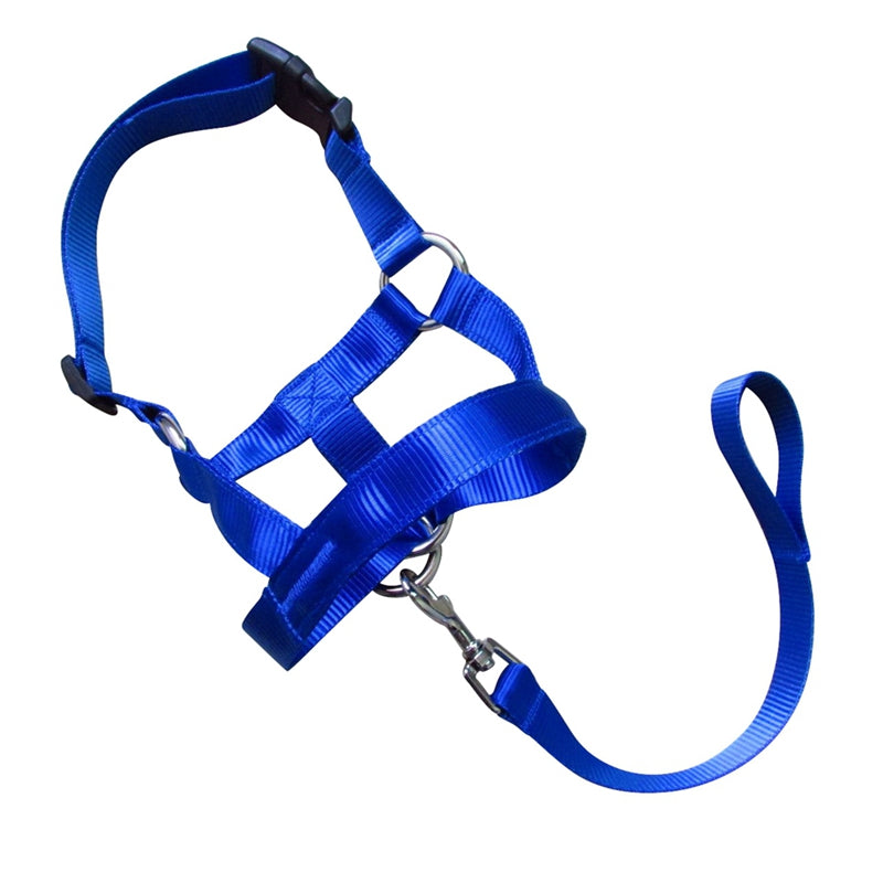 Anti-riot Rushing Dog Traction Rope For Dog Walking