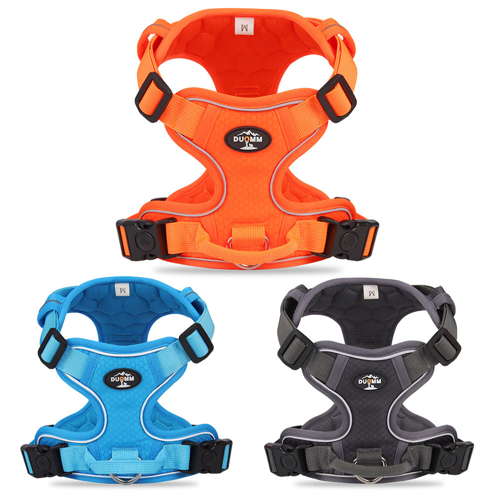 Dog Hand Holding Rope Vest Reflective