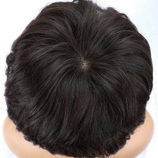 Women's Wig Sheath Texture Hot Dyeing