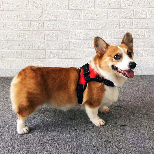 Small Dog Vest Type Rope Chest Back