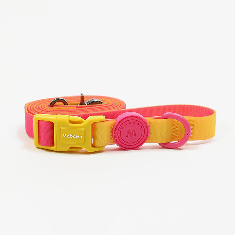 Waterproof Nylon Dog Collar With Traction Rope