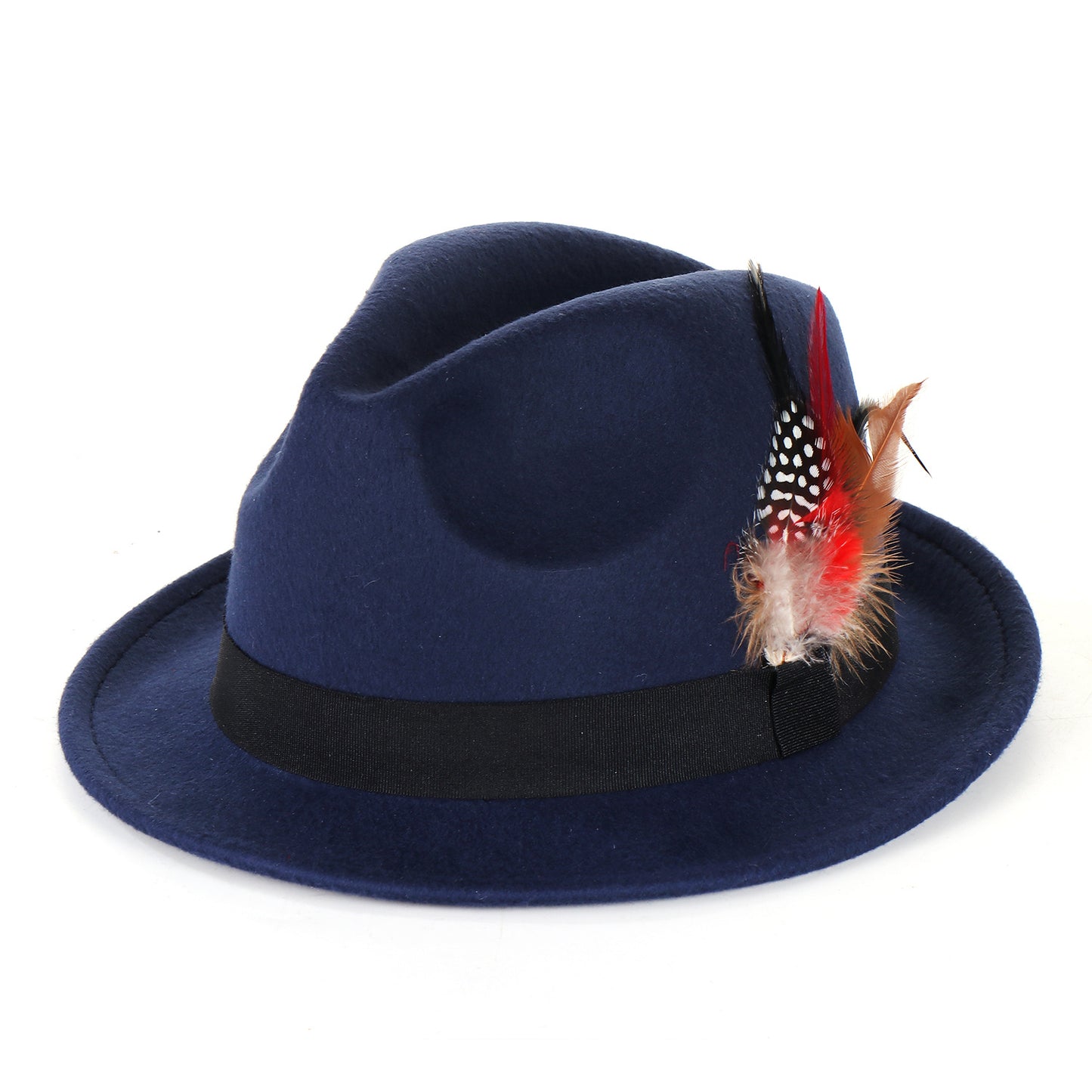 Fashion Men's And Women's Woolen Feather Hat